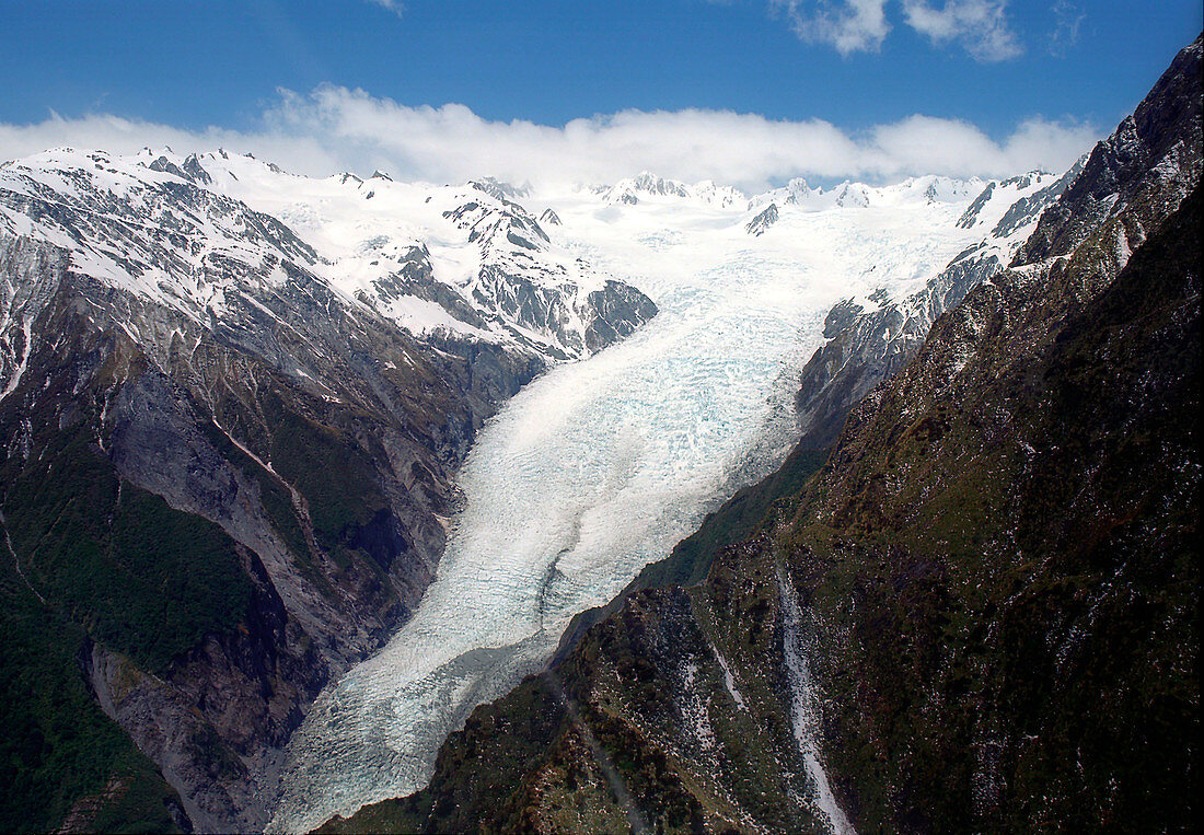 Franz Josef glacier,New Zealand