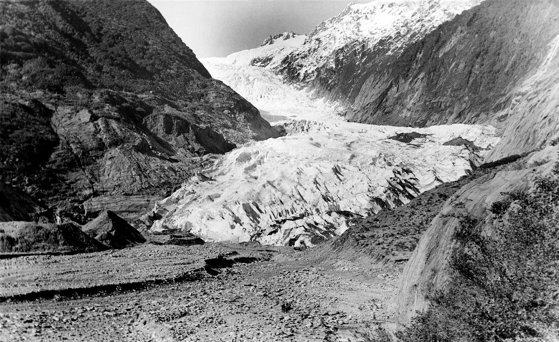 Franz Joseph Glacier in 1956