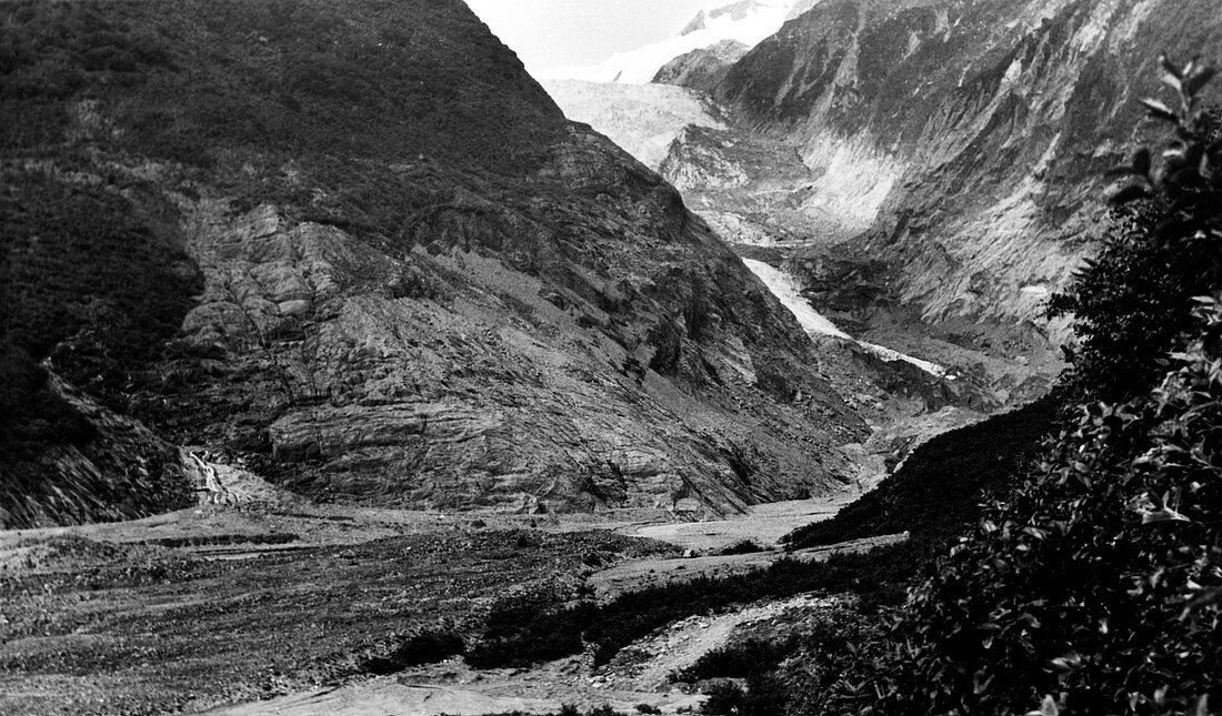 Franz Joseph Glacier in 1964
