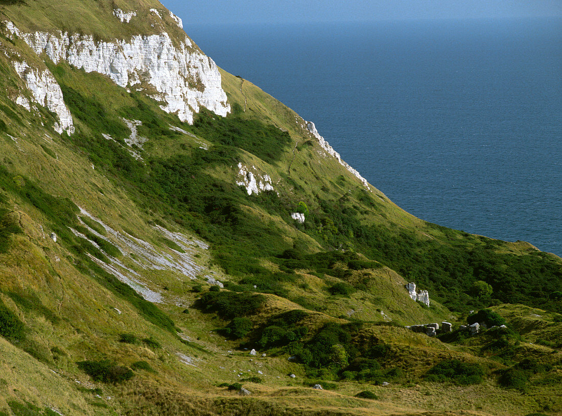 View of cliffs at White Nothe,Dorset