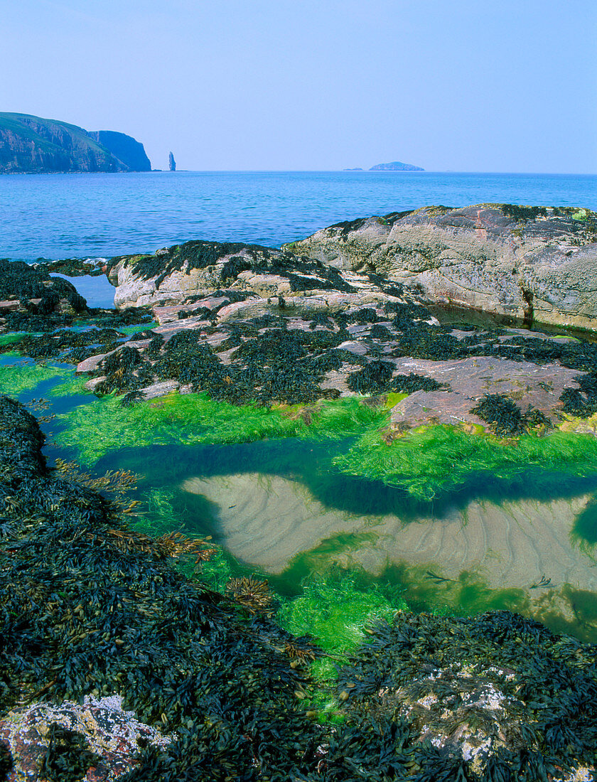 Rock pools in Sandwood Bay,Scotland
