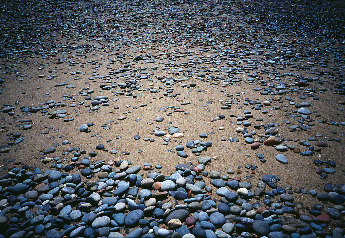 Pebbled beach