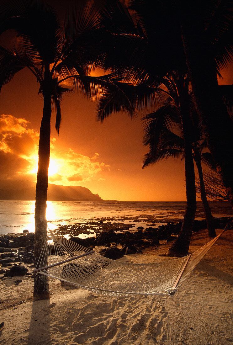 Beach at sunset