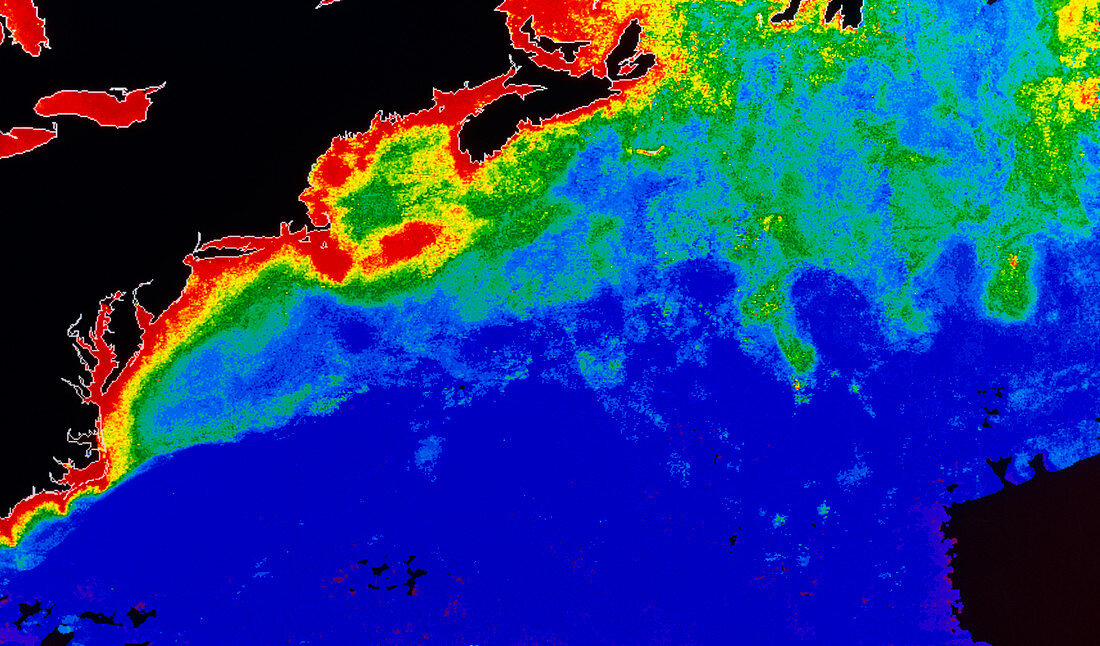 False col Satellite image of the Western Atlantic