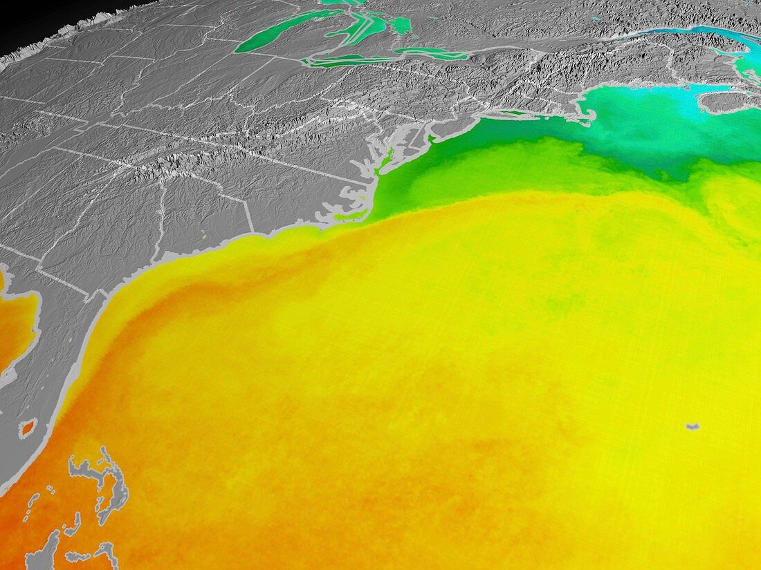 Gulf stream temperature,2006