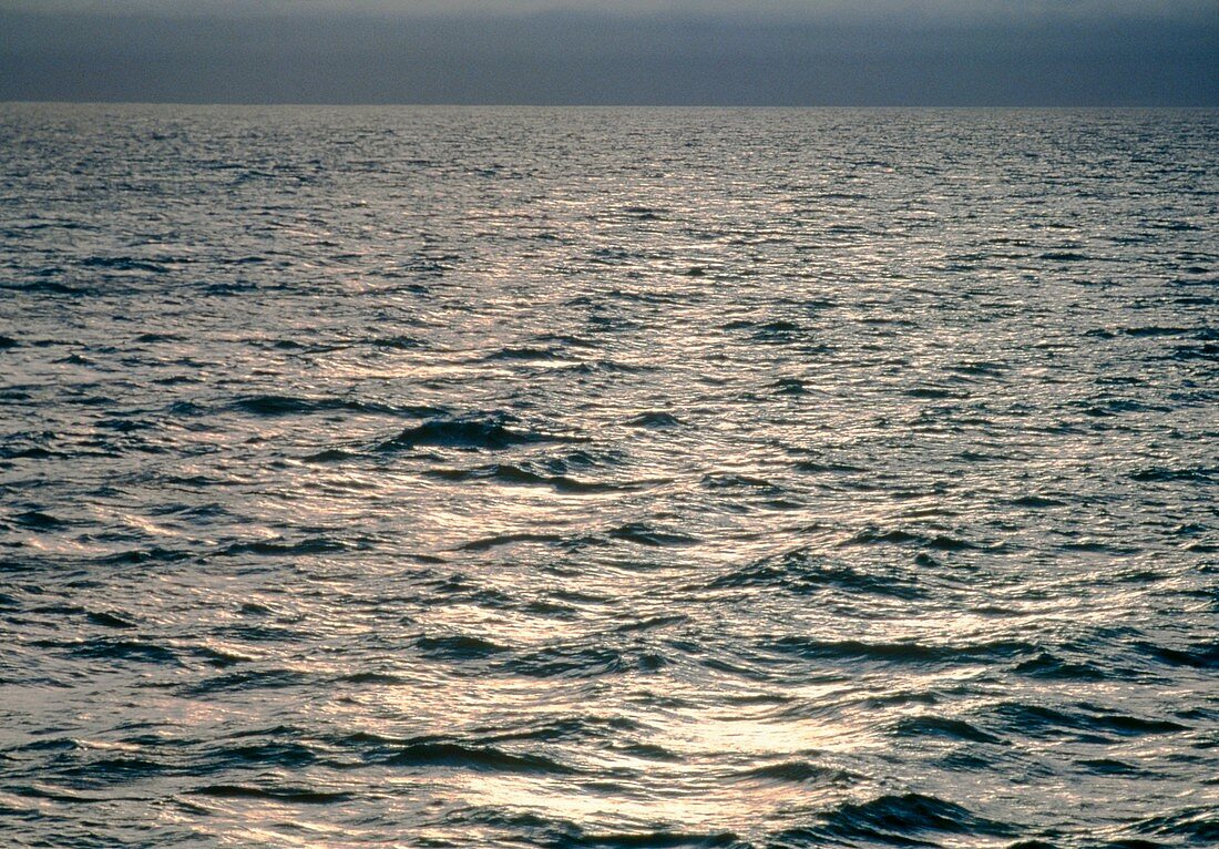View of sunlit waves on open water