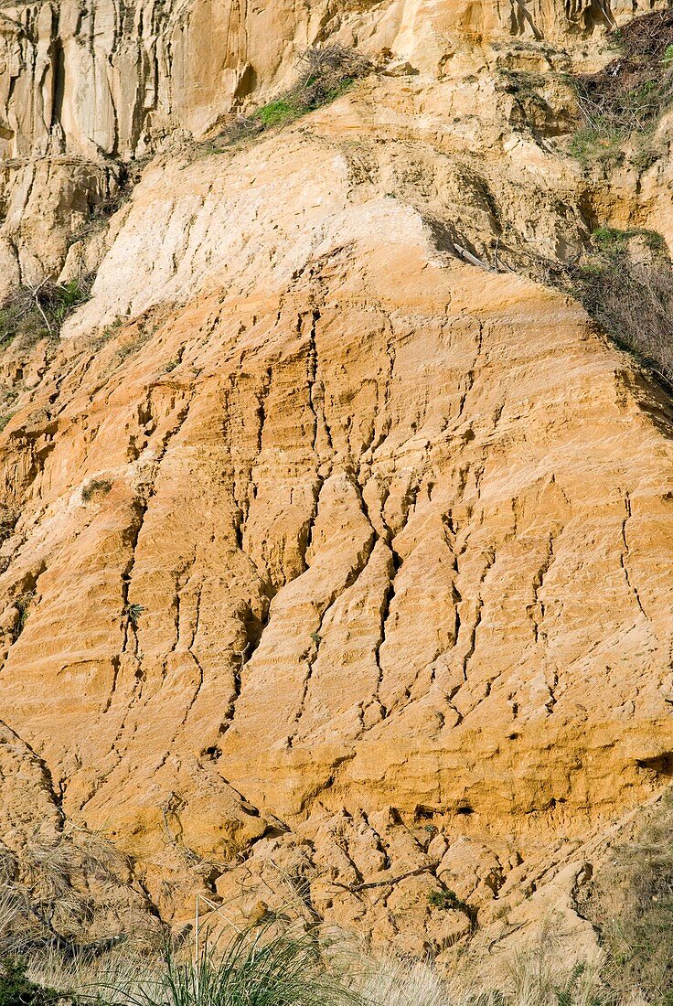 Eroded sandstone cliff face