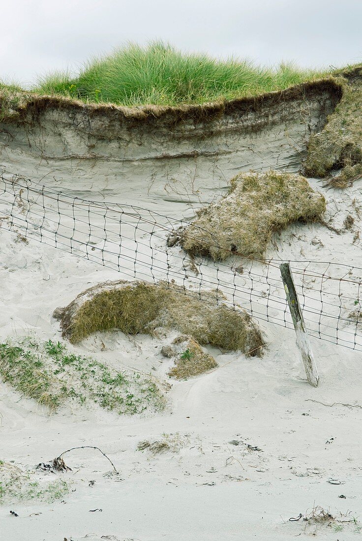 Sand dune erosion