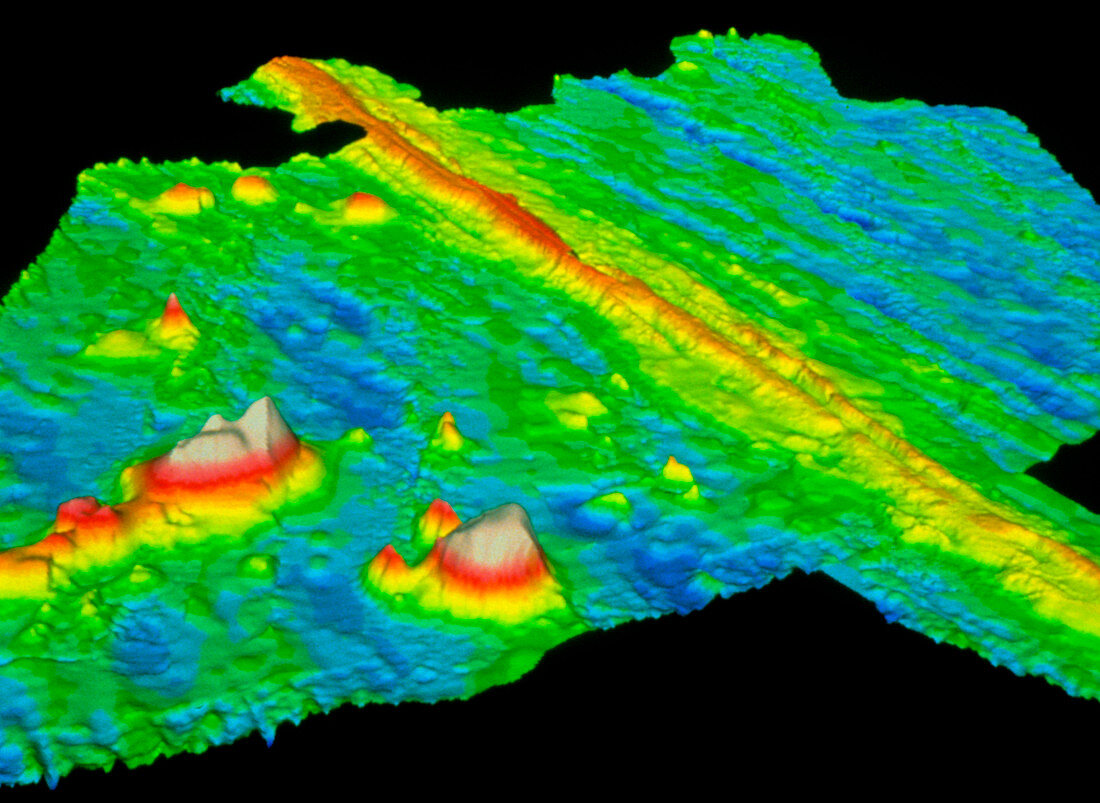 Sonar image of ocean floor showing mid-ocean ridge