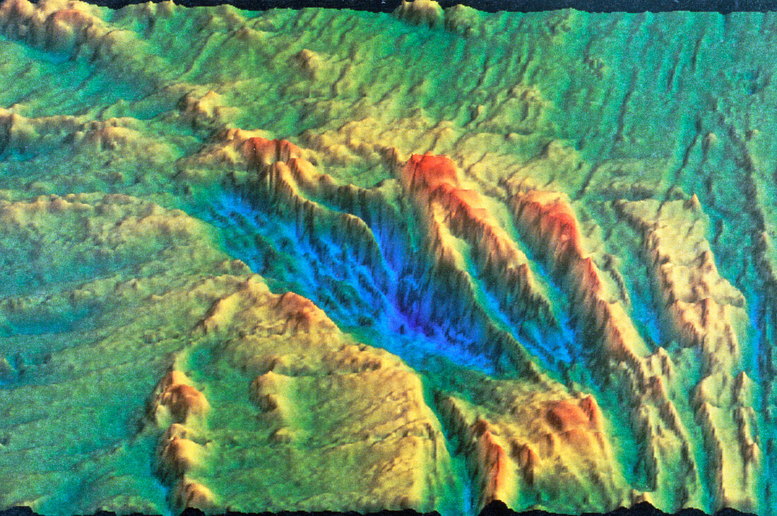 Sonar image of the ocean floor showing rift valley