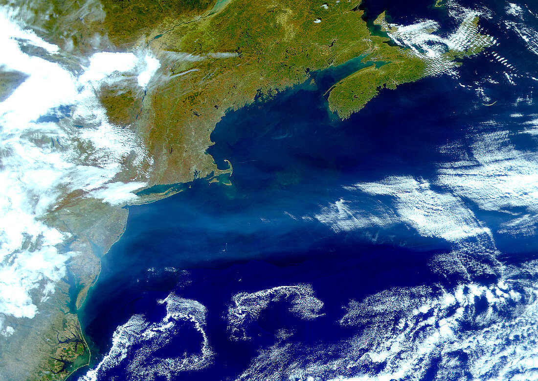 North-western Atlantic,satellite image