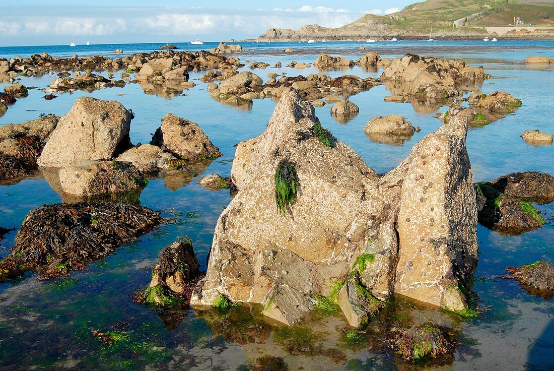 Exposed rocks and tidal pools
