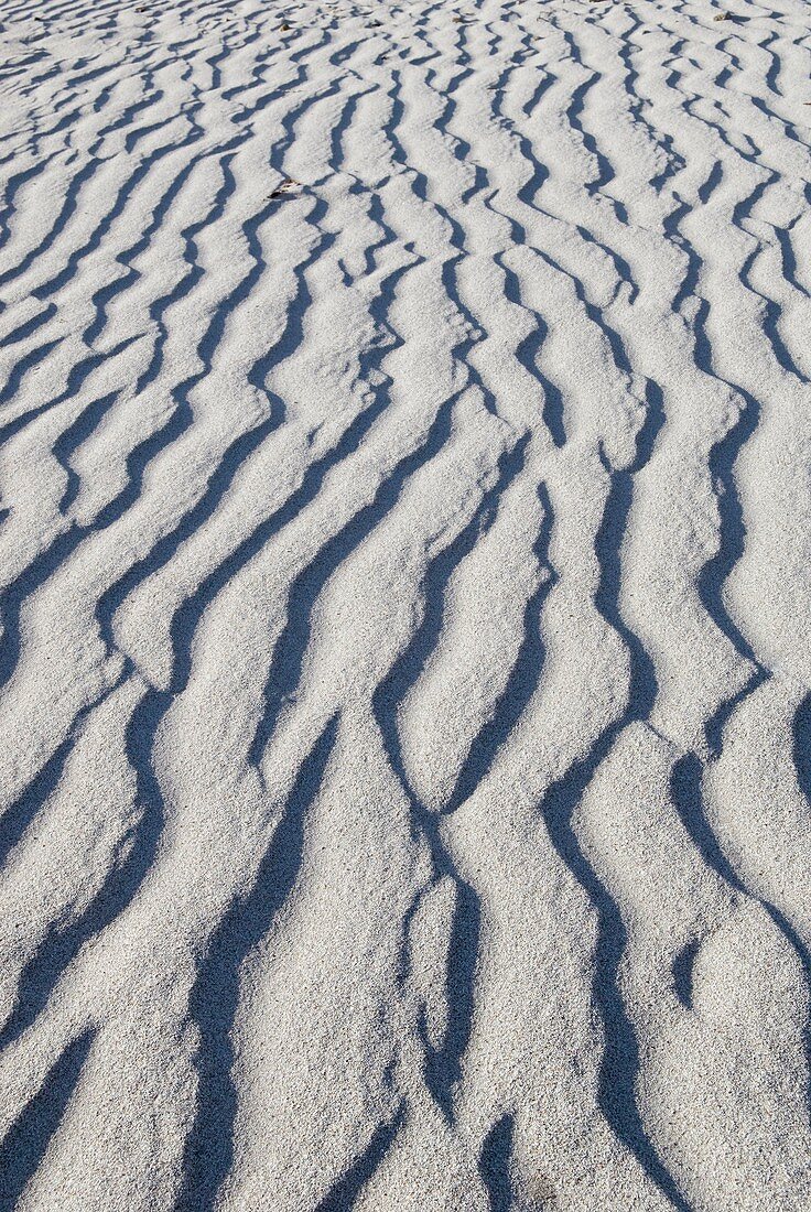 Ripples in white sand