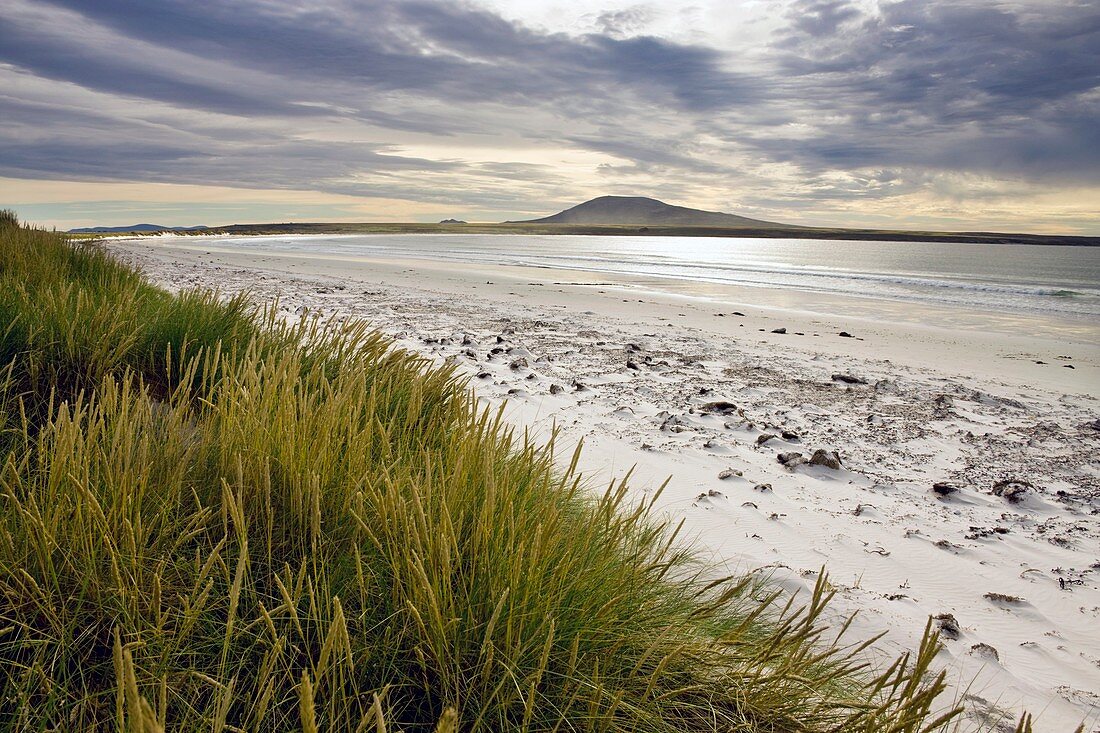 Four Mile beach,Falkland Islands