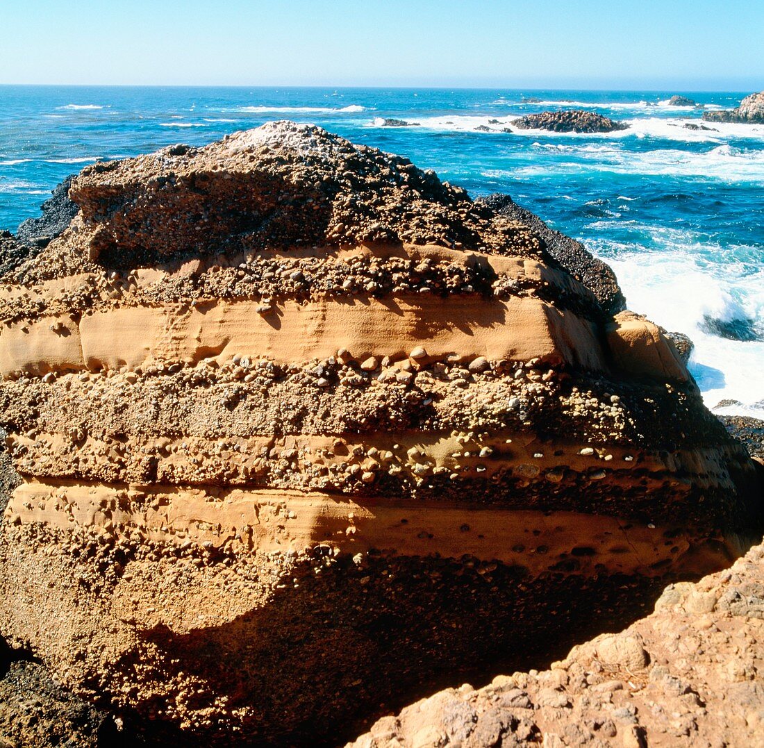 Sedimentary rock seen on Californian coast