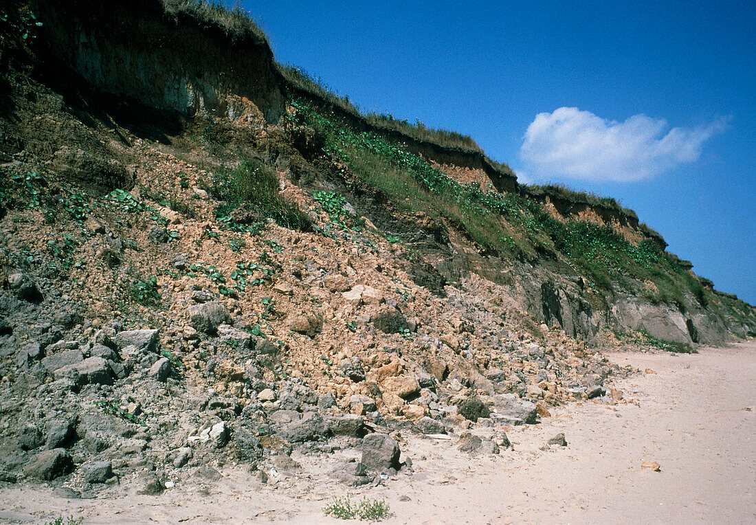 Collapsed beach cliff due to groundwater seepage