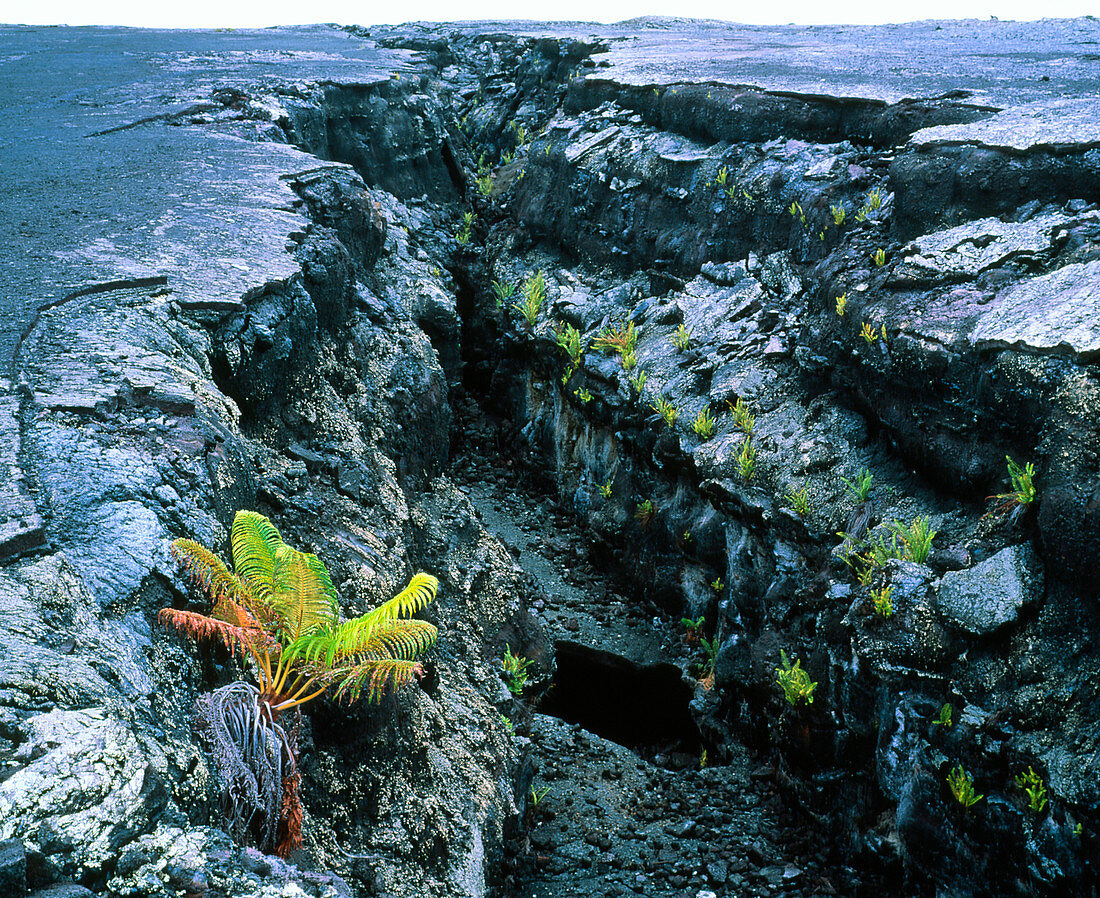 Fractured lava crust caused by volcanic faulting