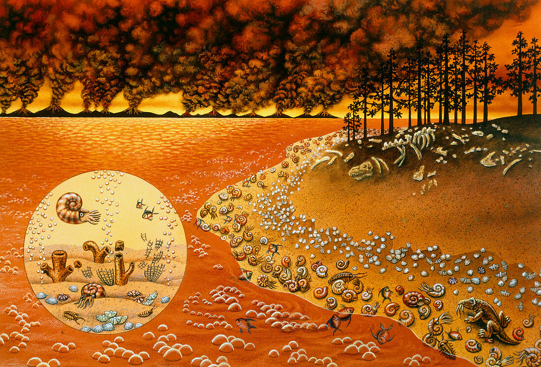 Artwork of the Permian mass extinction of life