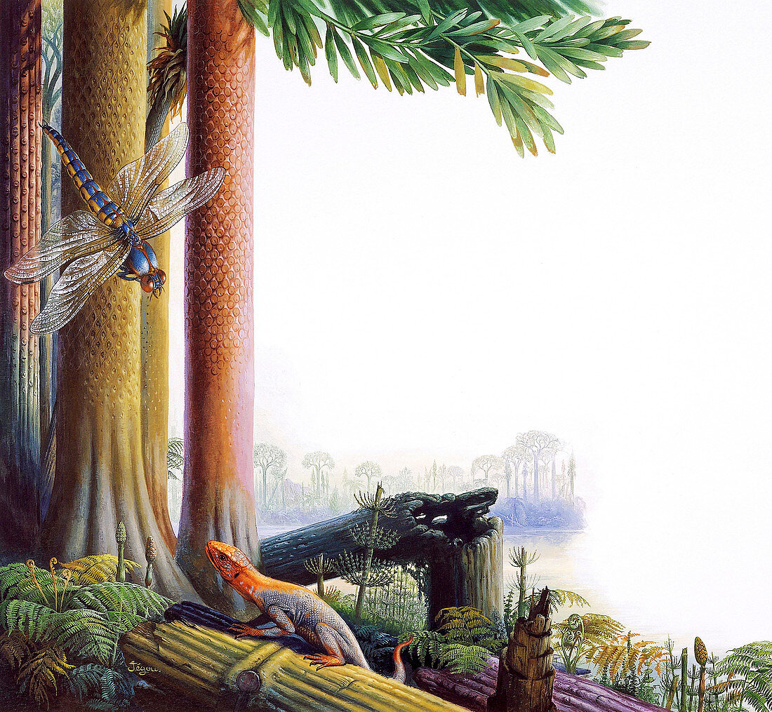 Carboniferous forest