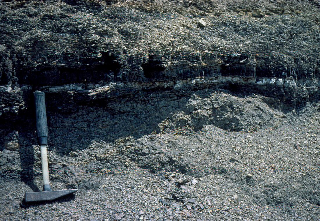 Cretaceous/Tertiary boundary,Raton,New Mexico