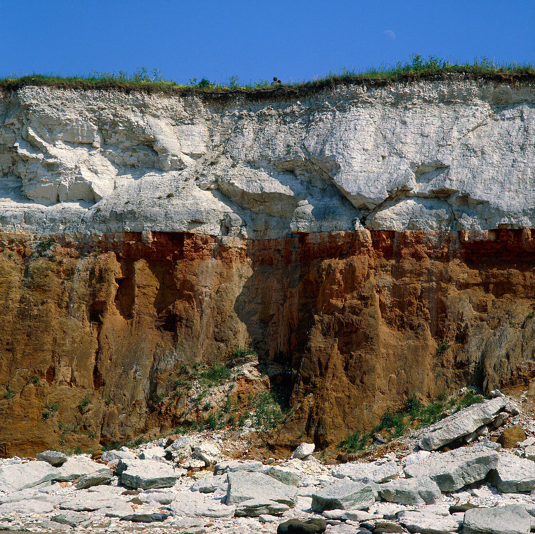 Rock strata in cliff,England