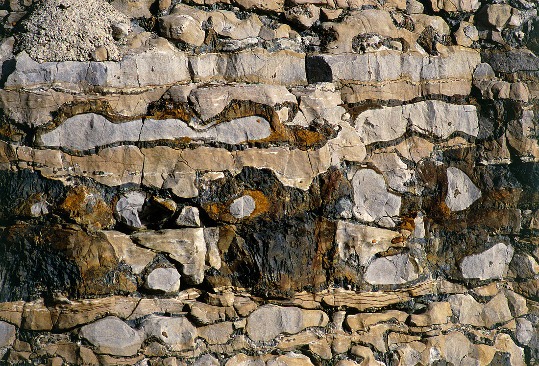 Horizontal strata in a limestone cliff