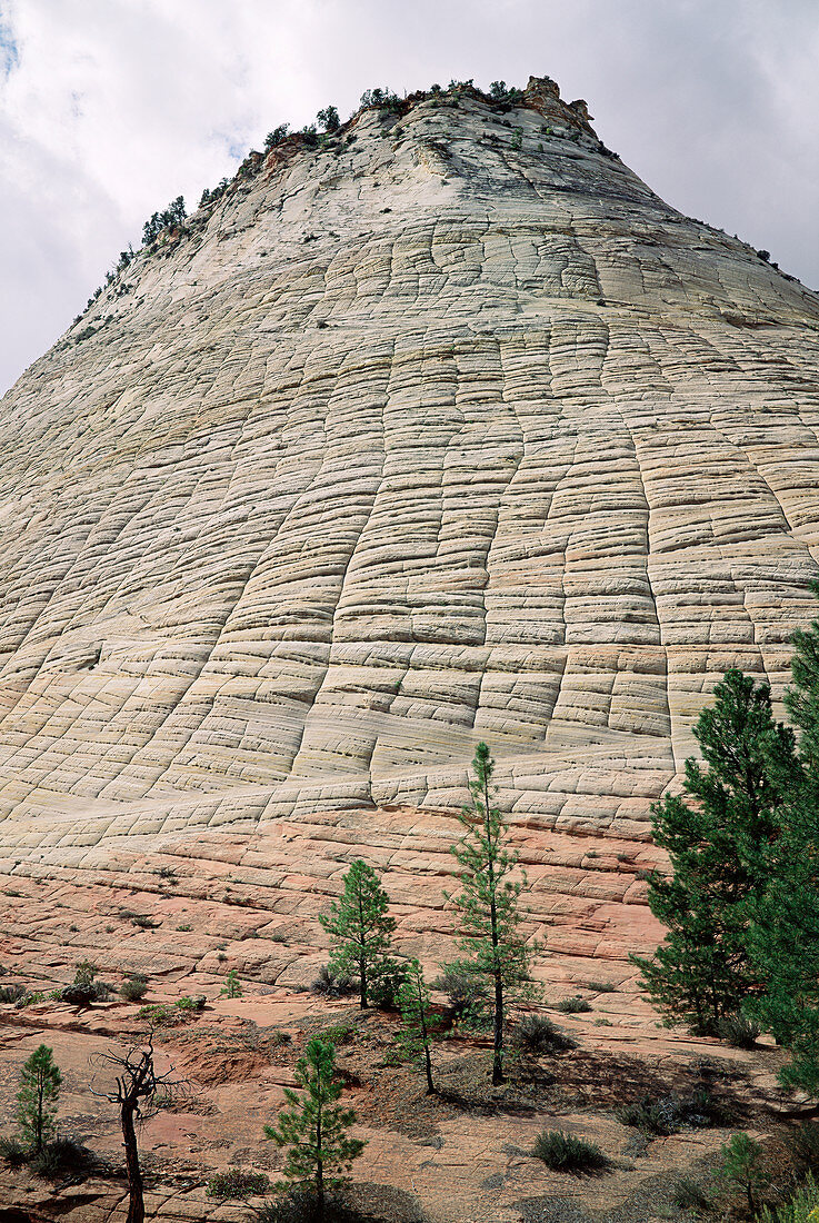 Cross-bedded sandstone layers