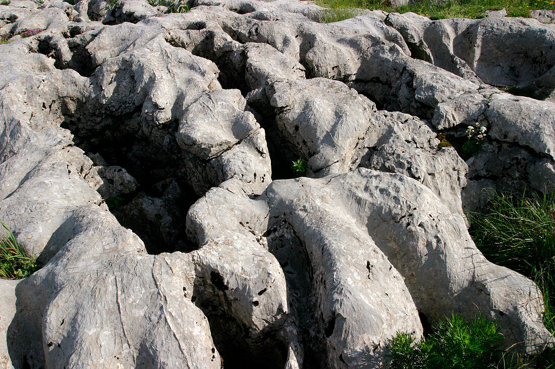 Eroded limestone rock