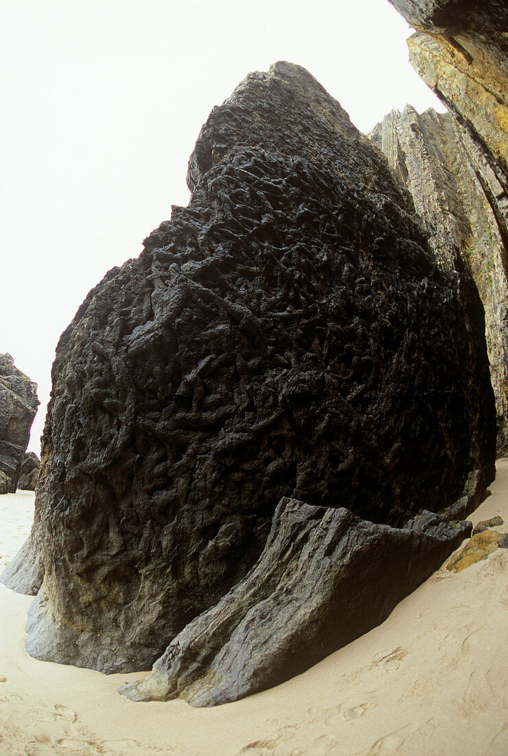 Sedimentary rock showing bioturbation