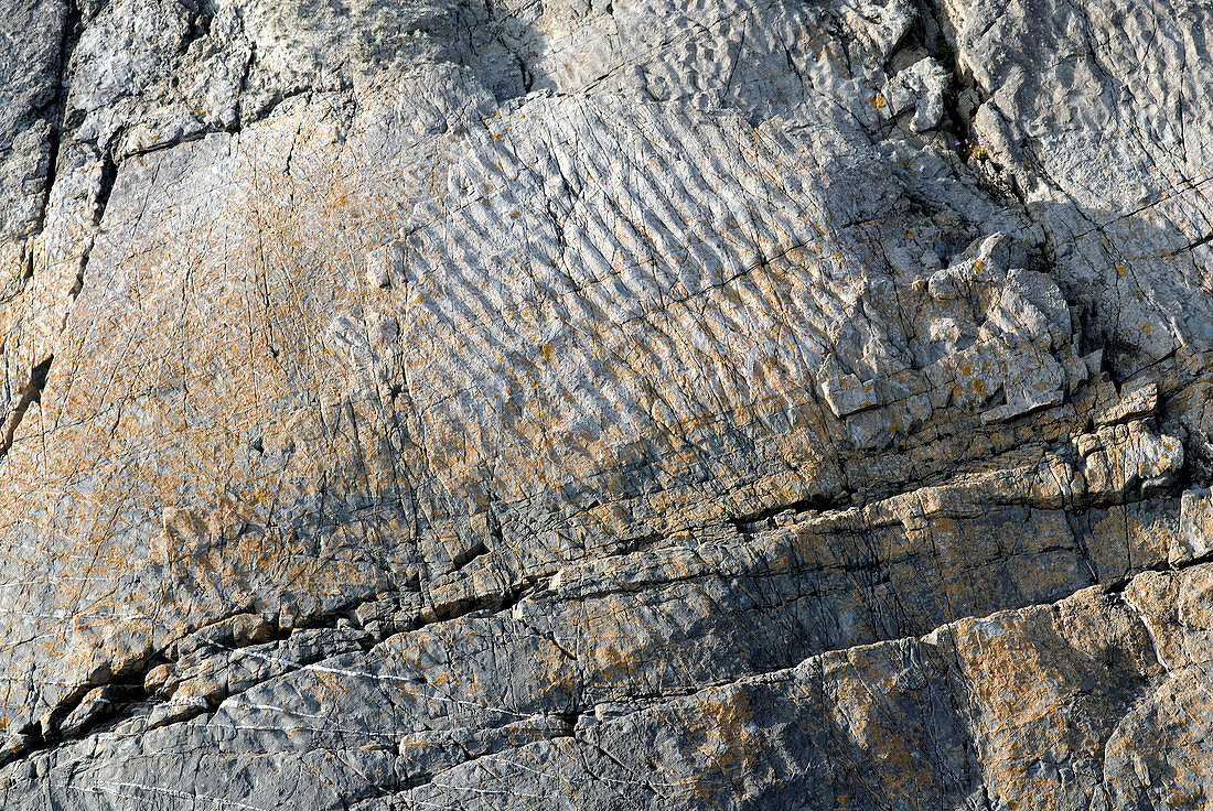 Ripple marks in Silurian sandstone