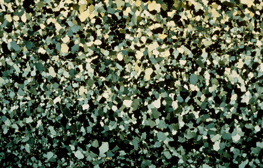 Thin section of quartzite