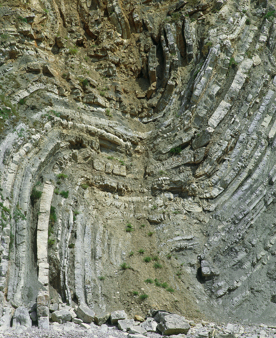 Folded strata in Stair Hole cliffs,Dorset