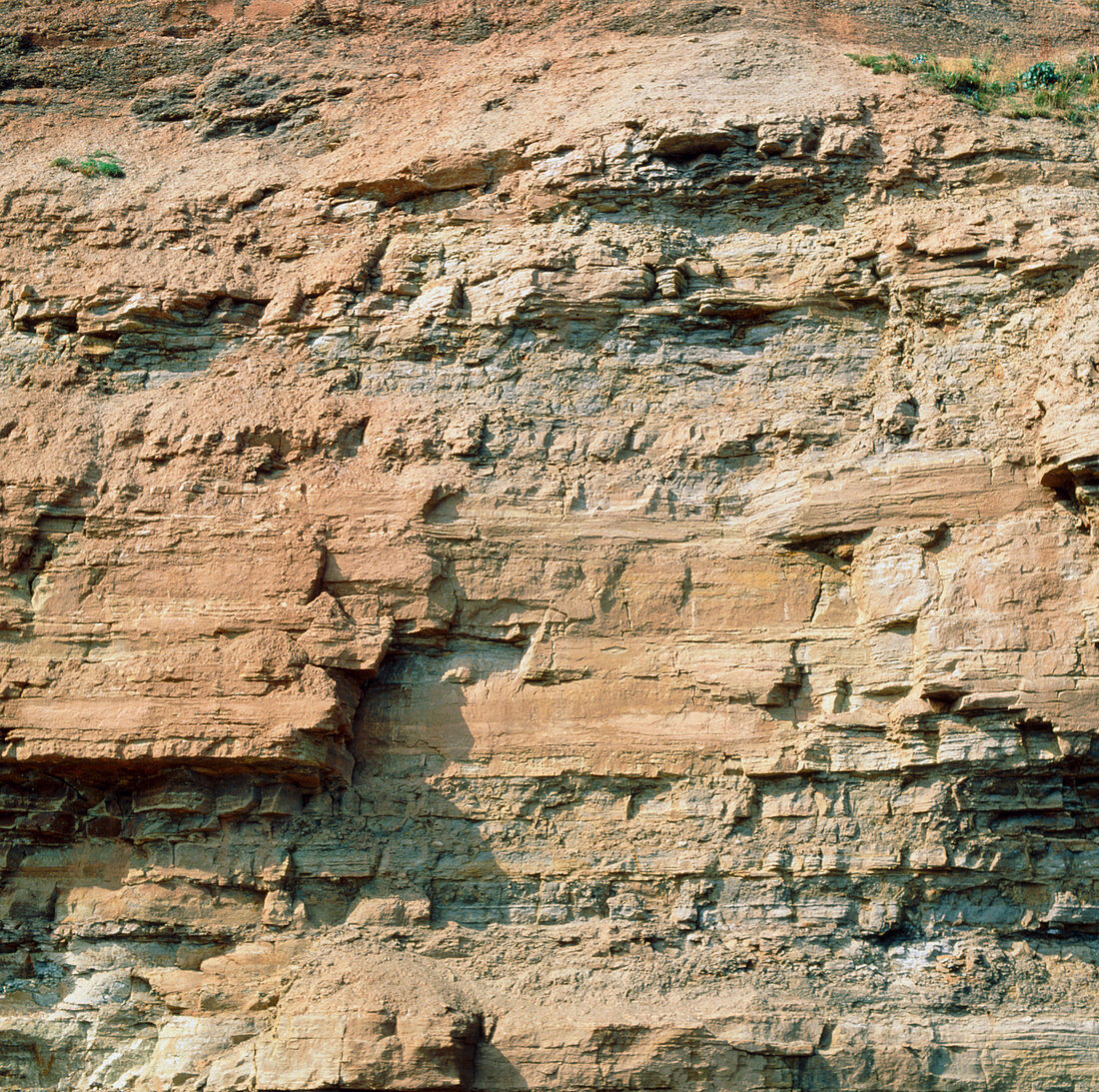 Macrophotograph of sandstone and shale cliff