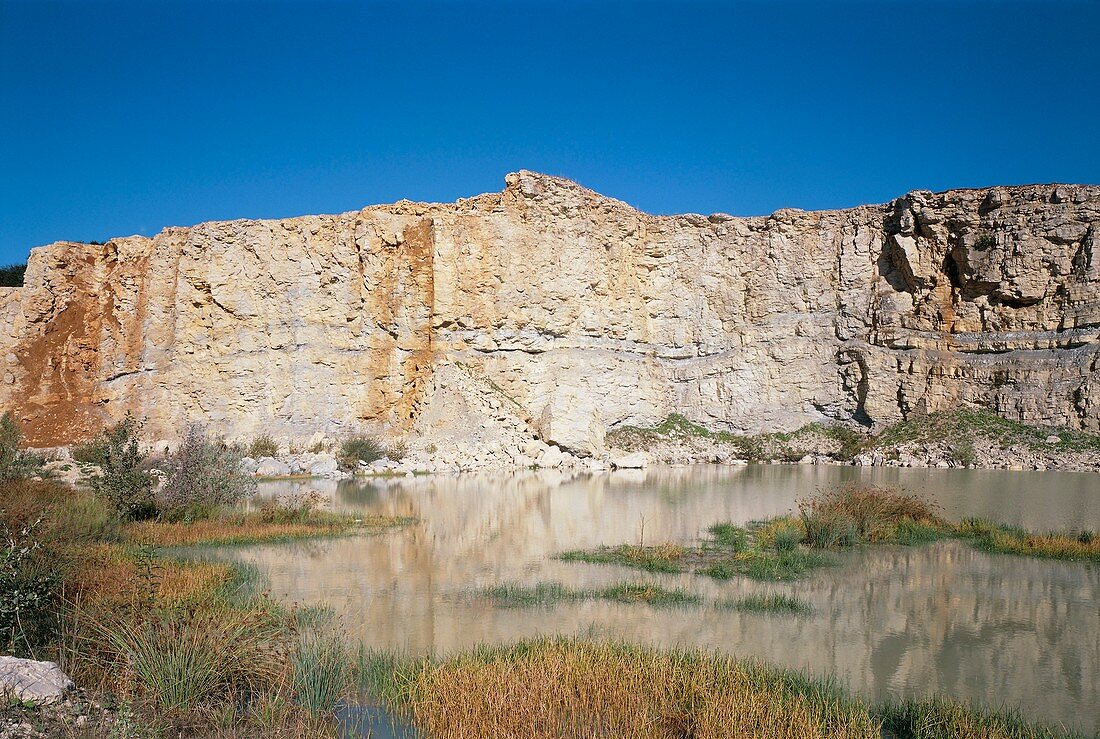 Strata in limestone face,quarry