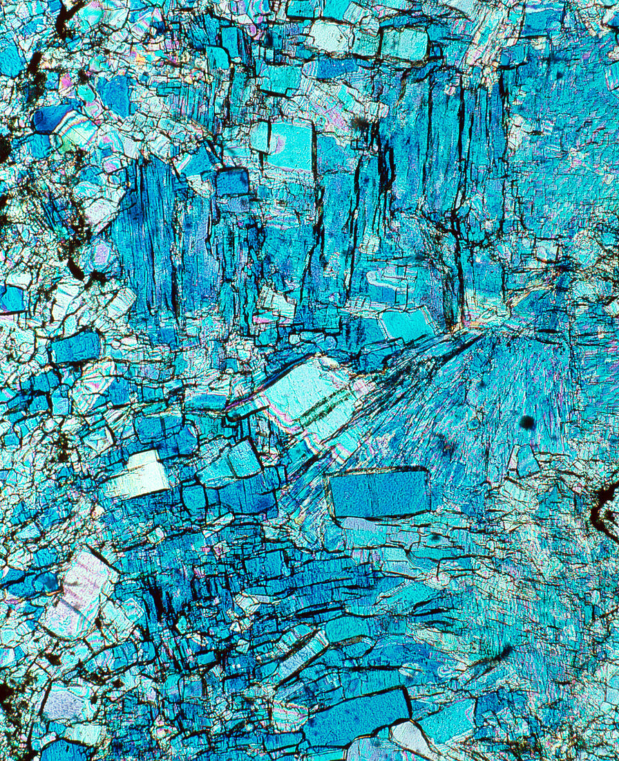 Polarised LM of gypsum in thin section