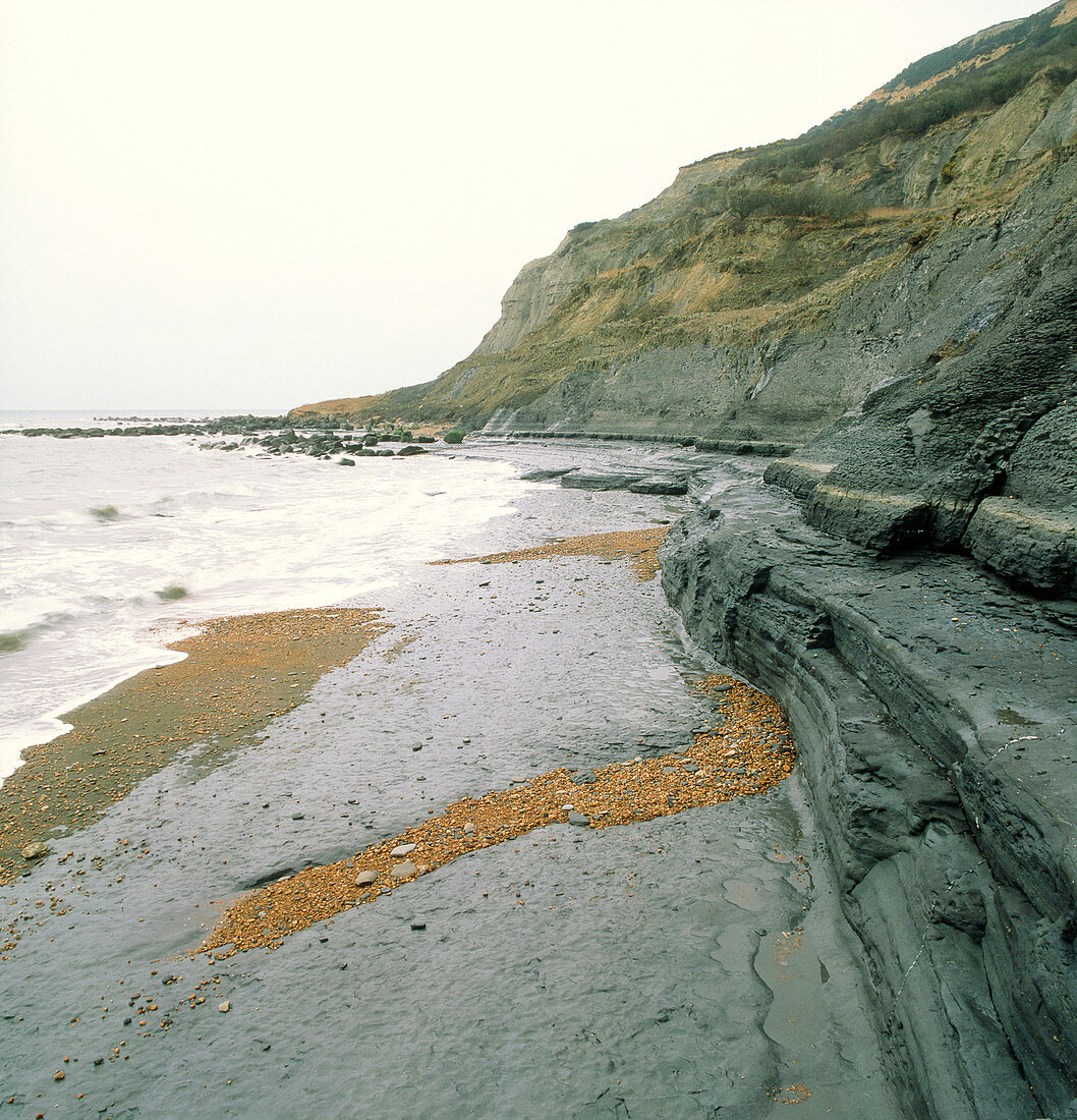 Lower Lias rock strata in Dorset,England
