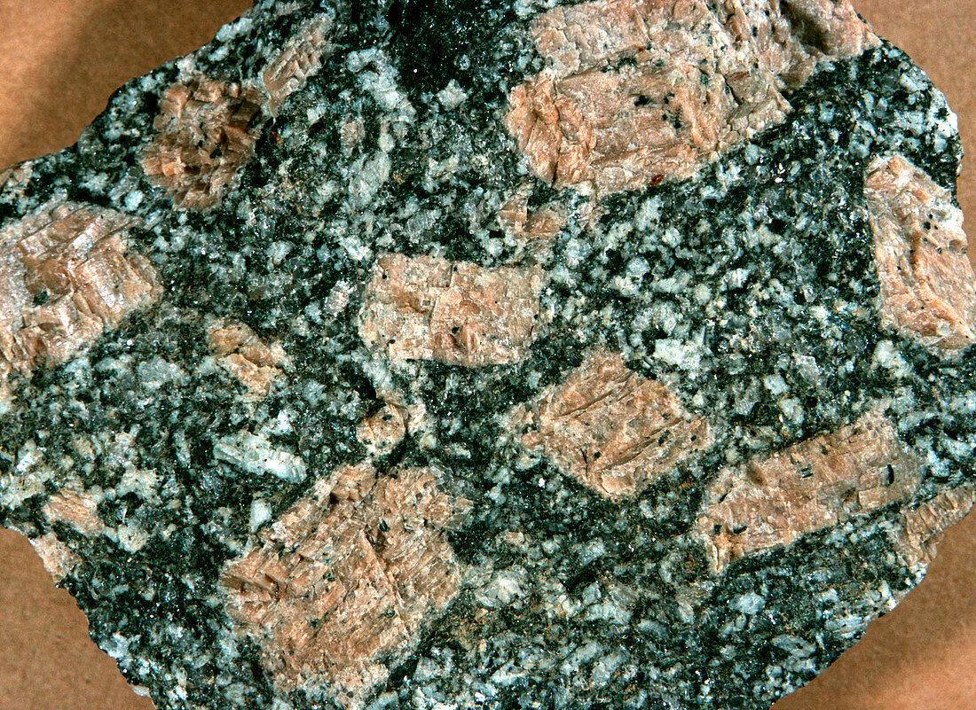 Porphyritic texture in granite