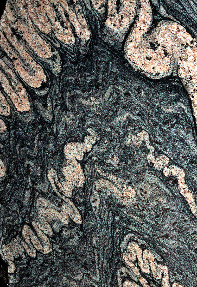 Ptygmatic folds in gneiss rock