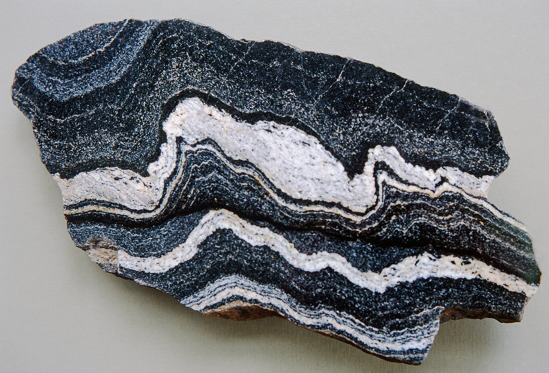 Folded strata in gneiss rock