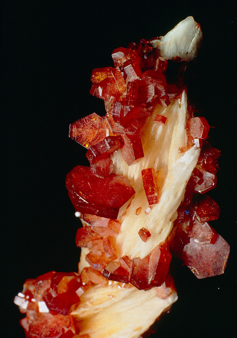 A specimen of the mineral Vanadinite