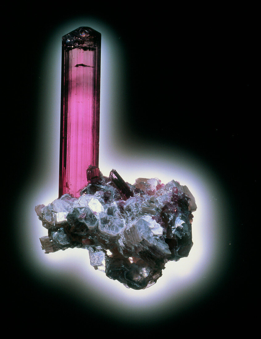 Pink tourmaline crystals growing on mica