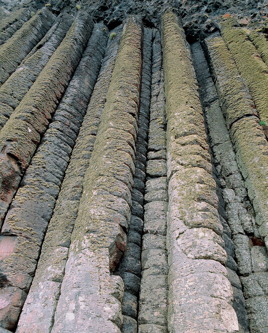 The Organ: basalt column formation in Ireland