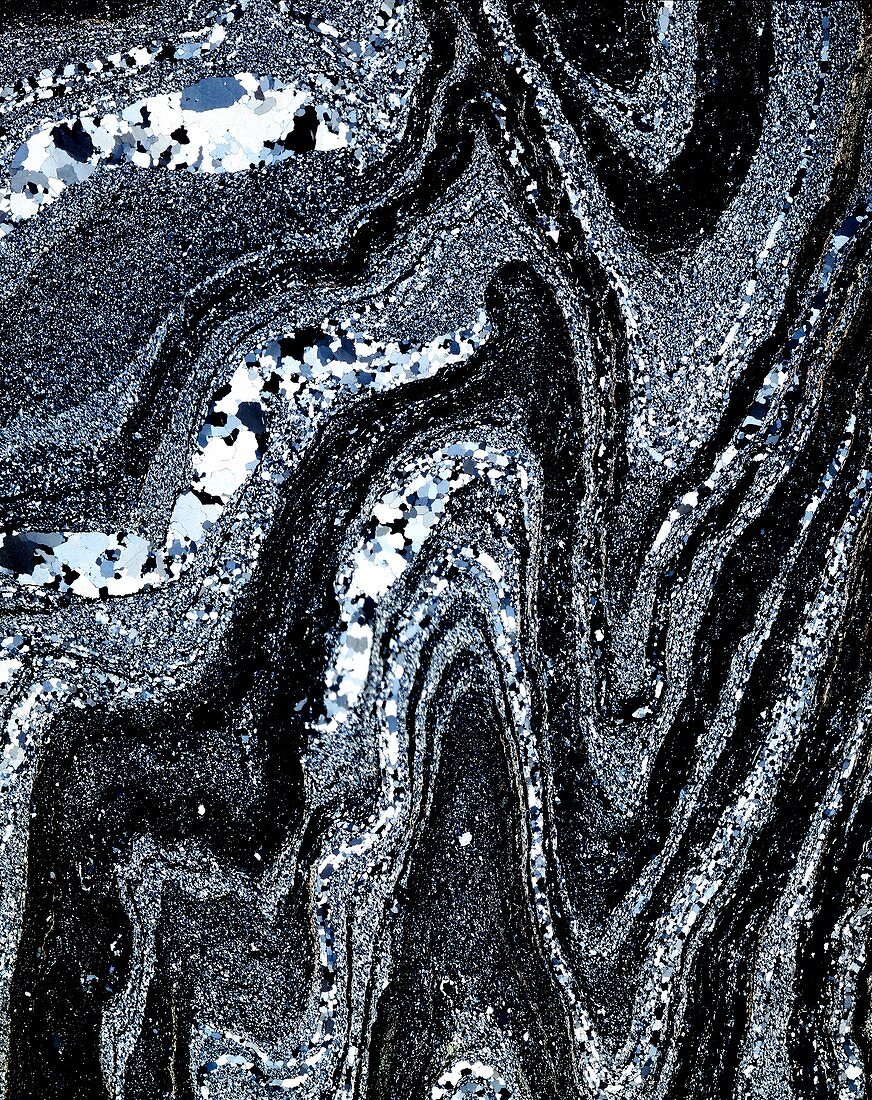 Microfolds in graphite schist,LM