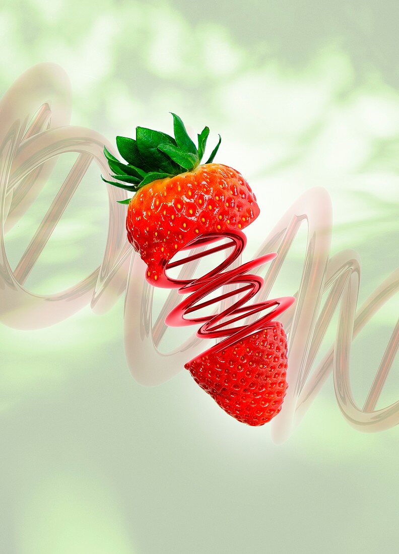 Strawberry with DNA