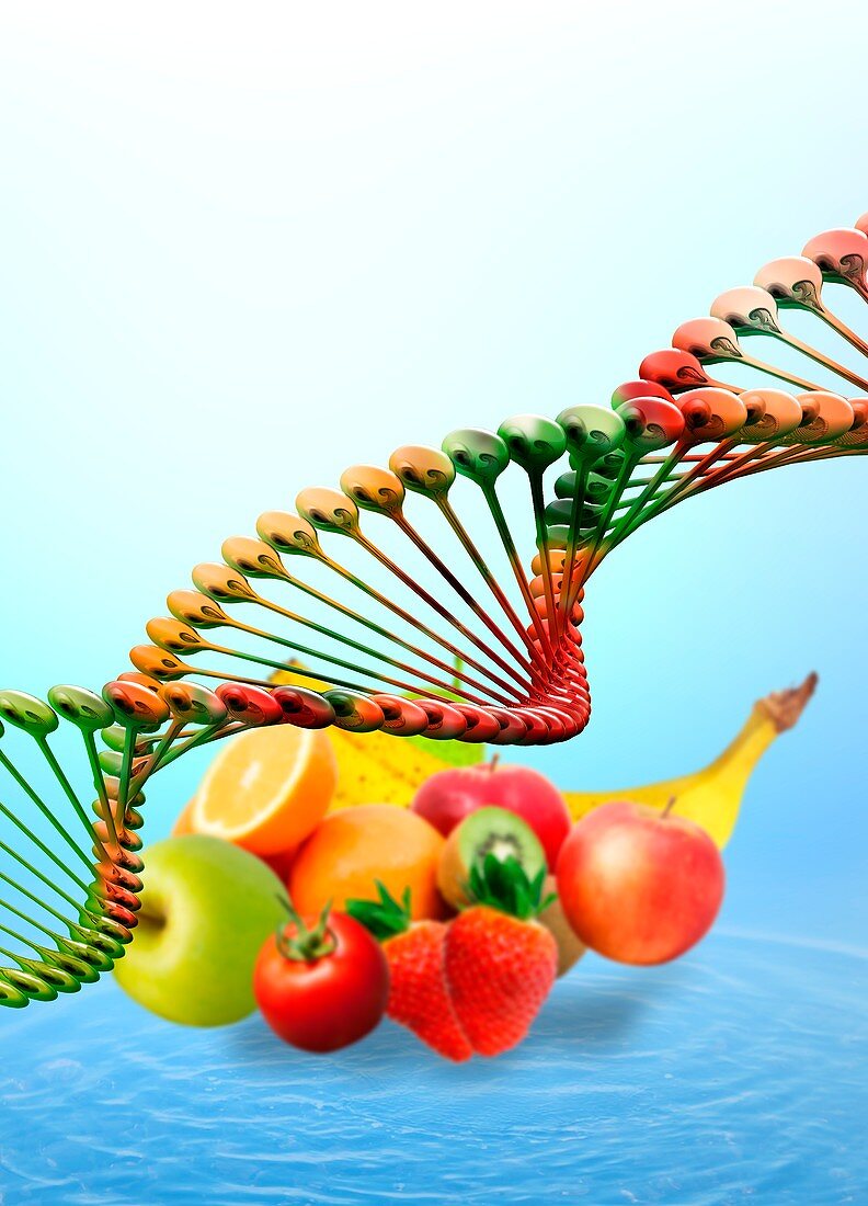 Fresh food and DNA