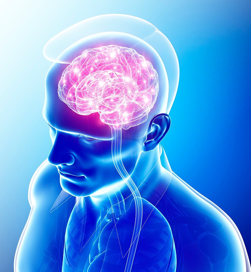 Human brain activity,illustration