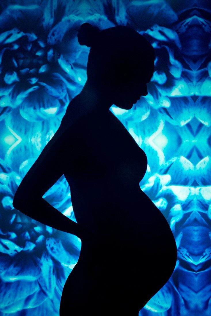 Silhouette of a pregnant woman