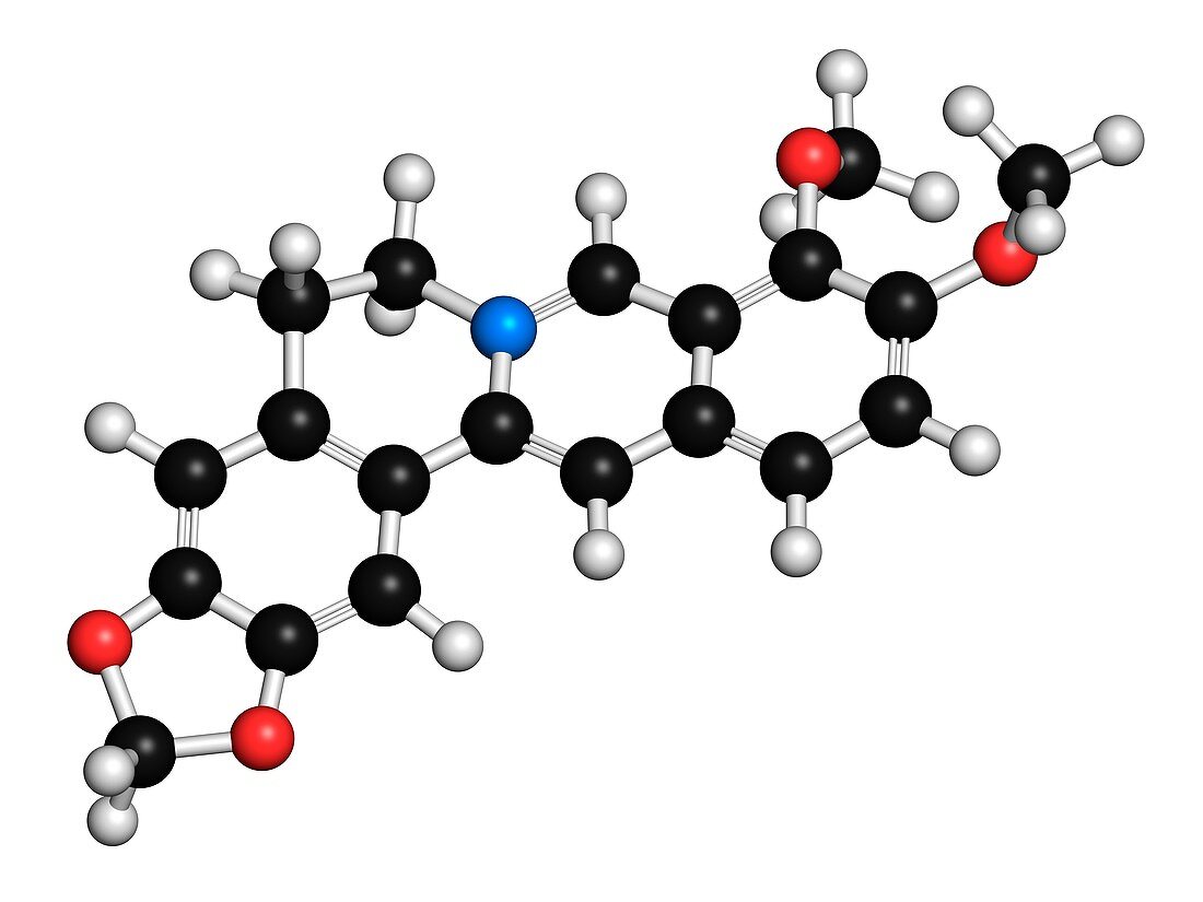 Berberine medicine molecule,illustration