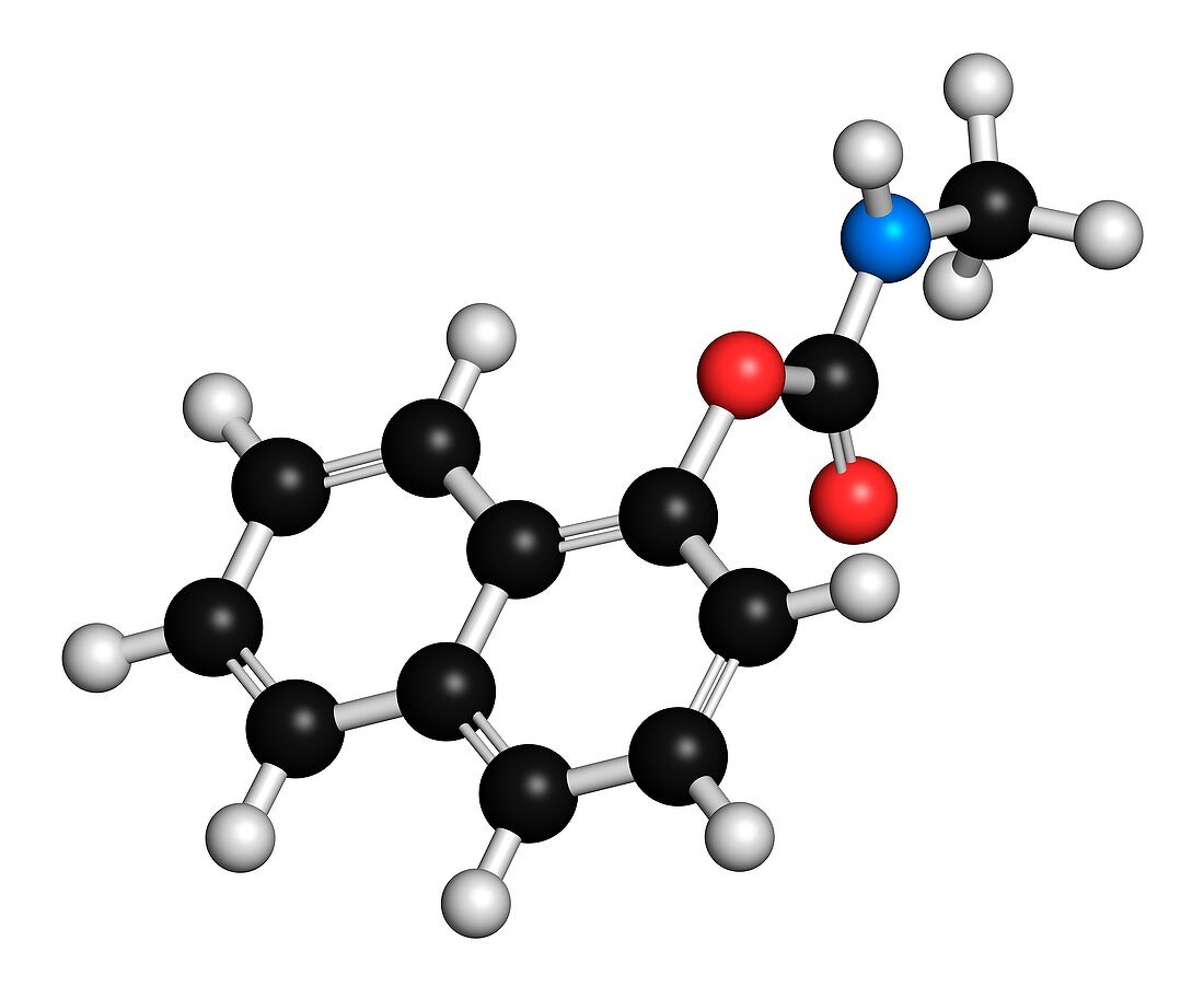 Carbaryl molecule ,illustration