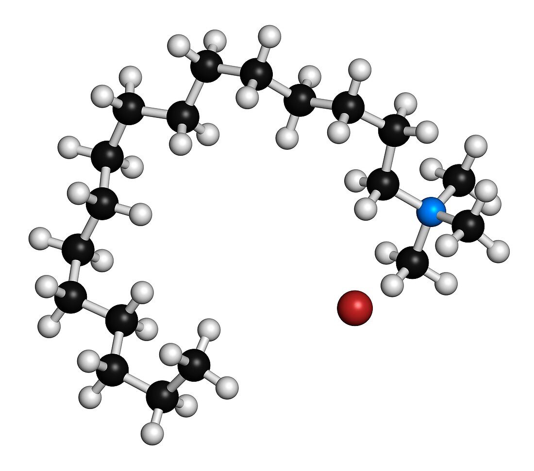 Cetrimonium bromide,illustration